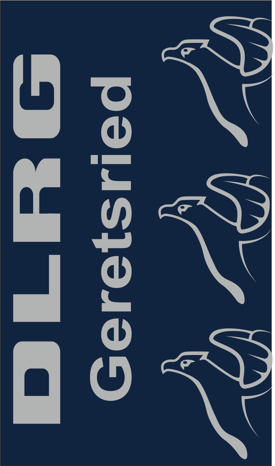 DLRG Geretsried Schlauchschal  Kopie